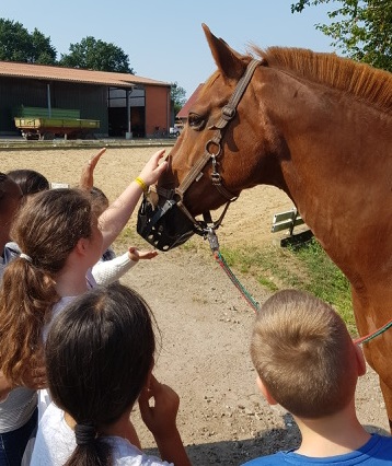 Ponyclub Burgweide